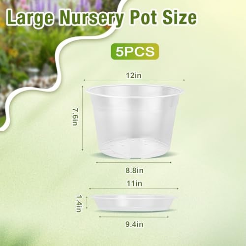 FUOAUYK 12 Inch Clear Nursery Pots with Drainage and Saucers 5 Pack Large Clear Plastic Nursery Pots for Plants Seedling Plant Pots for Repotting and Growing Plants Flowers Vegetables 12 inch - Image 3