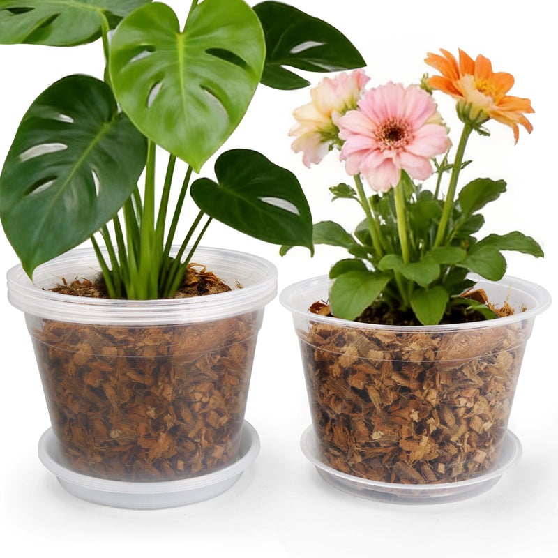 FUOAUYK 12 Inch Clear Nursery Pots with Drainage and Saucers 5 Pack Large Clear Plastic Nursery Pots for Plants Seedling Plant Pots for Repotting and Growing Plants Flowers Vegetables 12 inch - Image 2