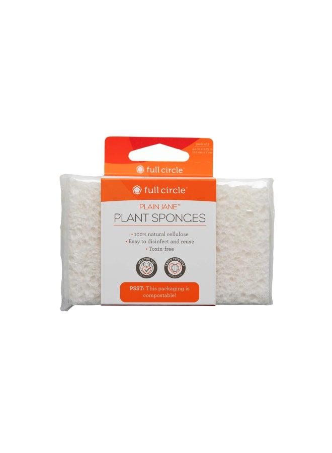 Full Circle Plain Jane Plant Based Cellulose Sponge Natural - Image 1