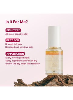 Fresh Rosehip Spray Serum Mist Antiaging Deep Hydration Anti Wrinkle All In One Care Korean Skincare - pzsku/ZDBAD7E1A3B6D140BA7CDZ/45/_/1720446433/3798677d-7d40-486d-93e3-1b0ff7d0c4b6