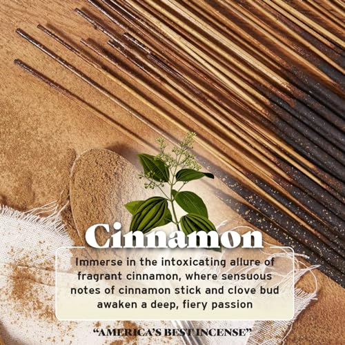 Wild Berry Incense Sticks - Cinnamon - Spicy and Warm Cinnamon Scent - Hand Dipped in The USA (100 Count) - Image 3