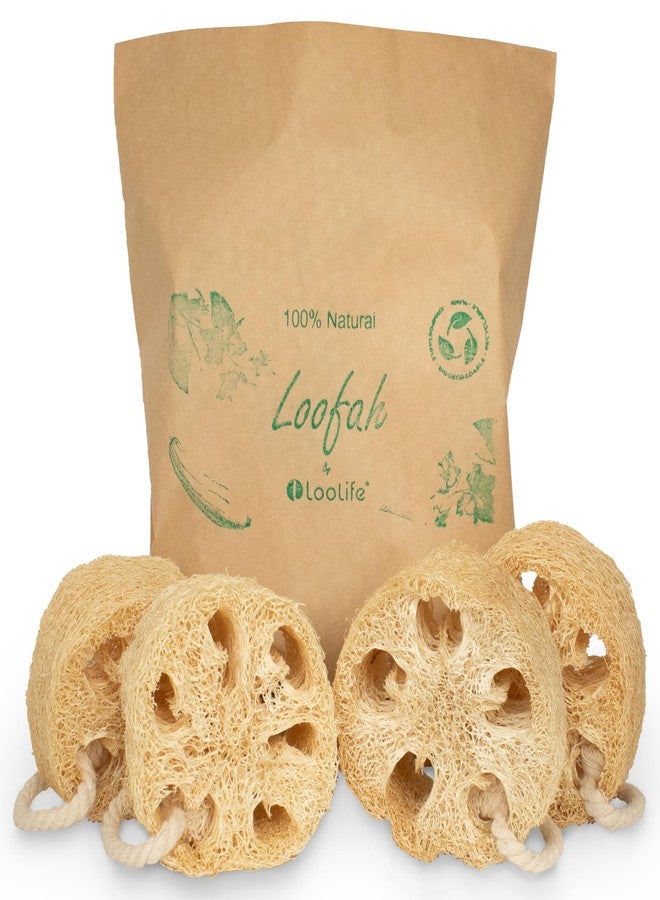 LooLife Natural Loofah Exfoliating Sponge (4 Pack) - Loofa Exfoliating Body Scrubber - Biodegradable Organic Loofah Sponge - Shower Luffa Sponges - Shower Lufa - Estropajos para el Cuerpo - Image 1