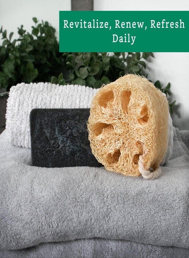 LooLife Natural Loofah Exfoliating Sponge (4 Pack) - Loofa Exfoliating Body Scrubber - Biodegradable Organic Loofah Sponge - Shower Luffa Sponges - Shower Lufa - Estropajos para el Cuerpo - Image 3