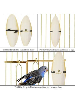 SunGrow SunGrow 4 Pack Large 6 inch Cuttlefish Bones for Cockatiels, Turtles, Shrimp, Dog Calcium Supplement, Cuttlebone Cage Holder Included  - Image 5