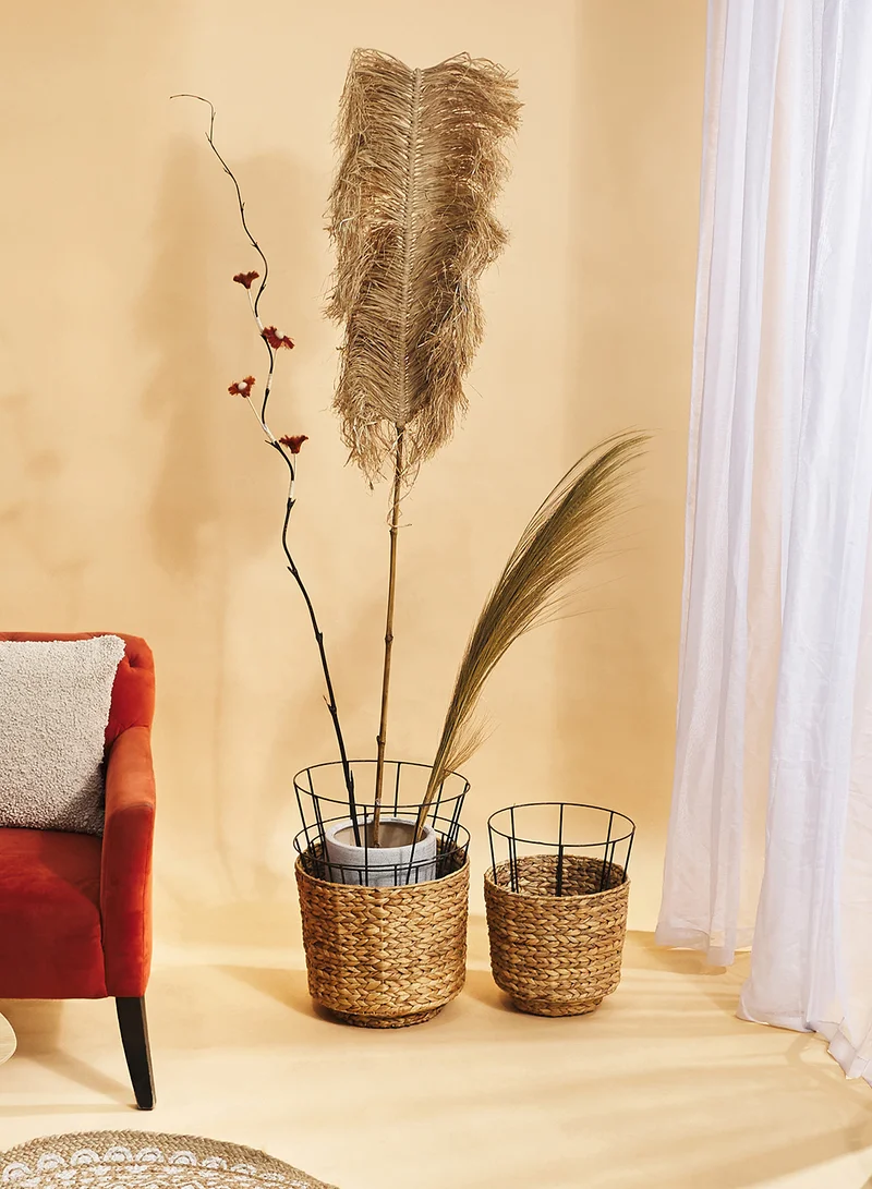 آيرا DRIED FLOWER (SET OF TEN)