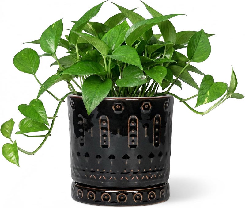 Eightpot 6 Inch Ceramic Planter Pot Plant Pot with Drainage Hole and Saucer, Round Large Flower Pot for Indoor Plants Outdoor Garden Planter Pot, Glossy Black - Image 1