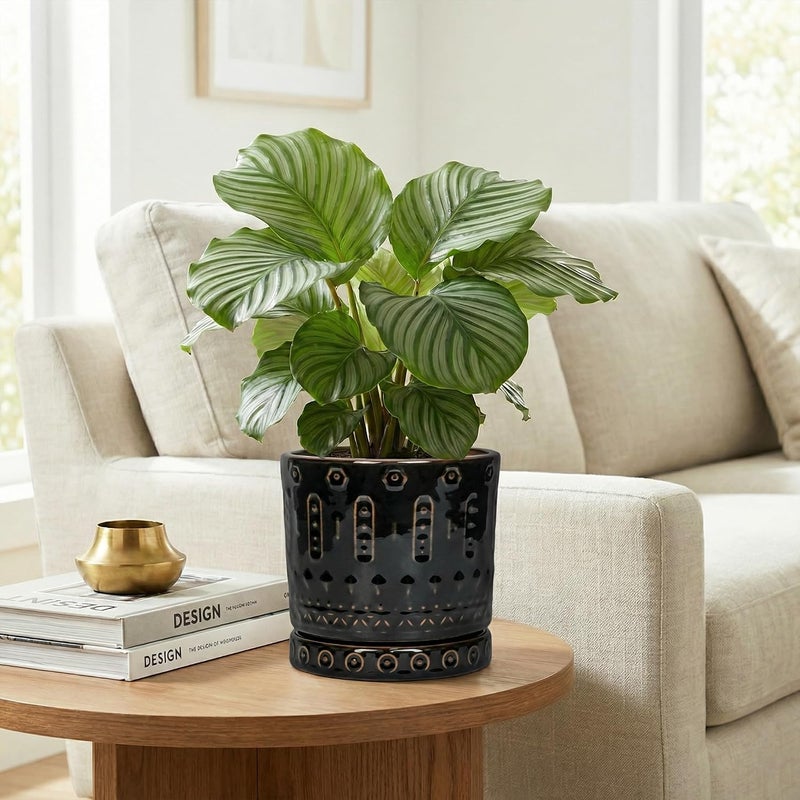 Eightpot 6 Inch Ceramic Planter Pot Plant Pot with Drainage Hole and Saucer, Round Large Flower Pot for Indoor Plants Outdoor Garden Planter Pot, Glossy Black - Image 4