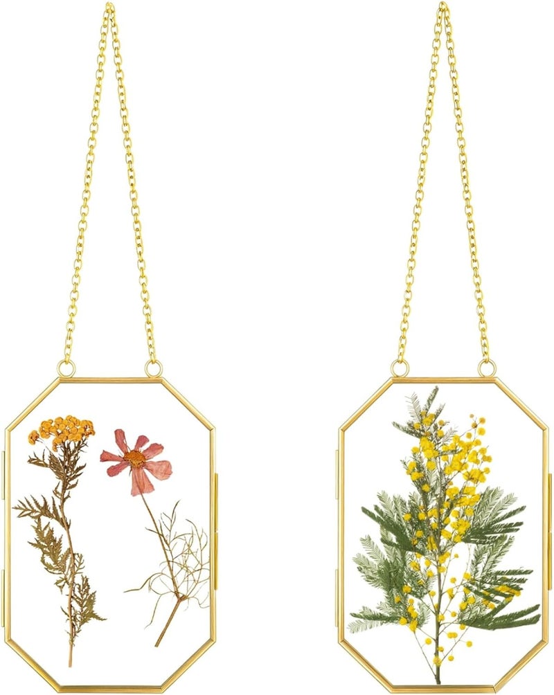 2-Piece Gold Metal Floating Glass Frames, Octagonal Photo Holders with Hanging Chain, for Pressed Flowers and Botanical Displays - Image 1