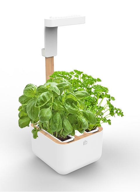 Véritable BOTANEO Eylo Indoor Organic Garden Kit with 2 Lingot Automatic LED Lighting Made in France