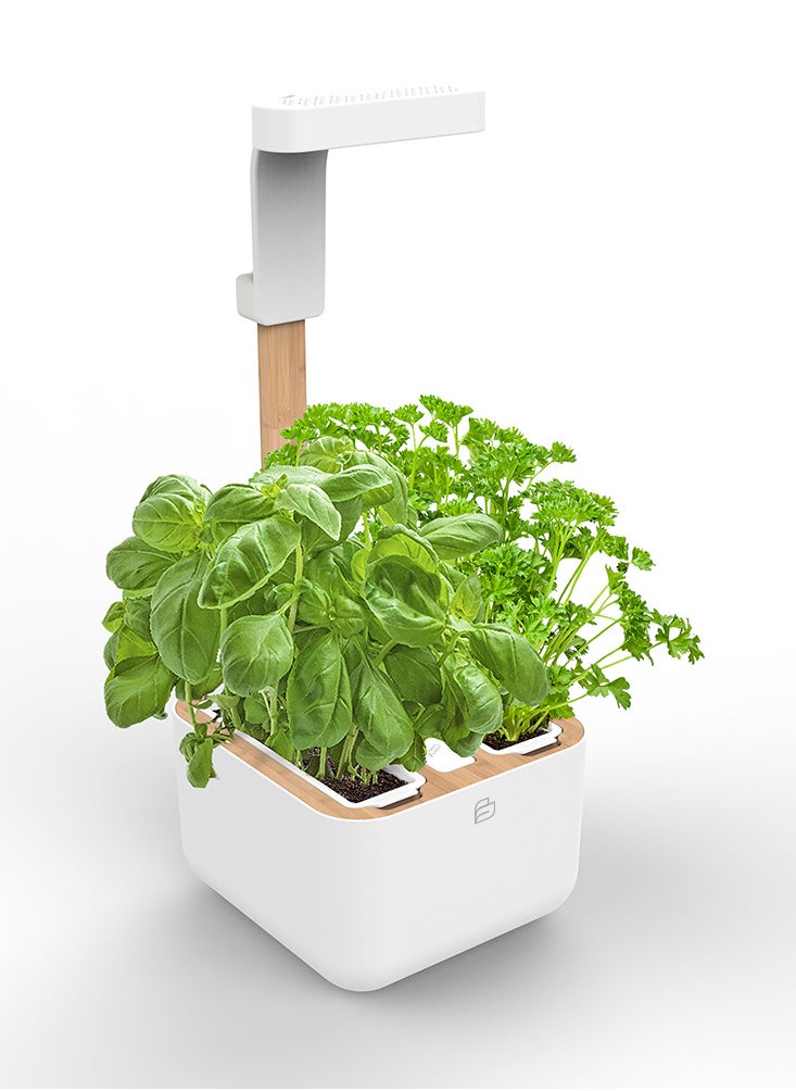 Véritable BOTANEO Eylo Indoor Organic Garden Kit with 2 Lingot Automatic LED Lighting Made in France