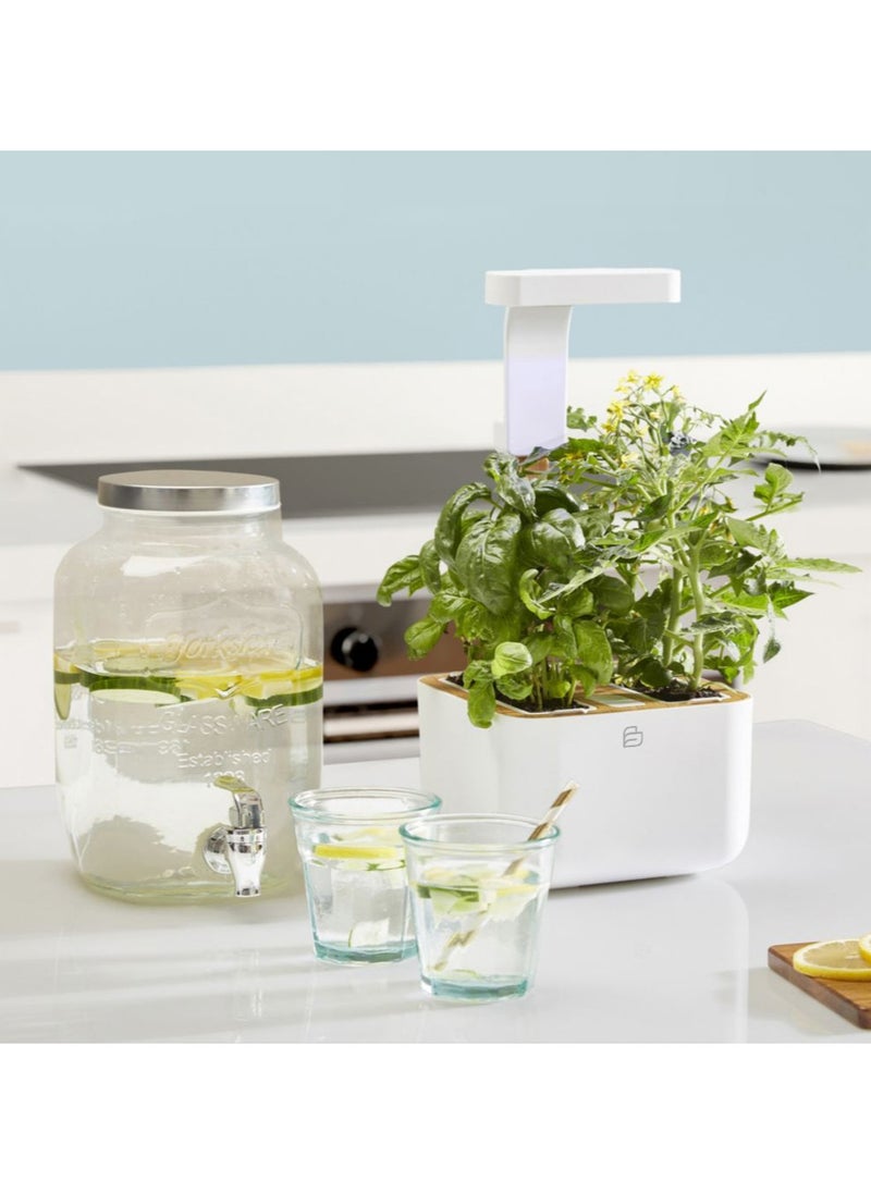Véritable BOTANEO Eylo Indoor Organic Garden Kit with 2 Lingot Automatic LED Lighting Made in France