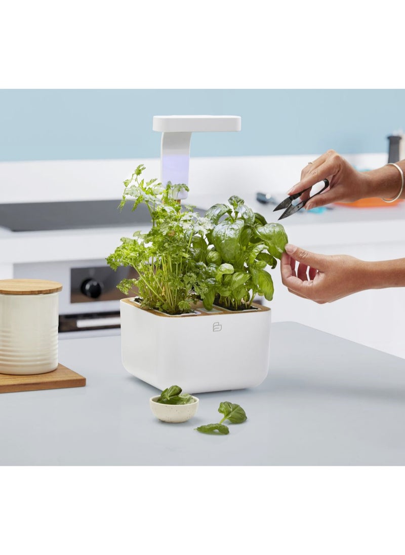 Véritable BOTANEO Eylo Indoor Organic Garden Kit with 2 Lingot Automatic LED Lighting Made in France