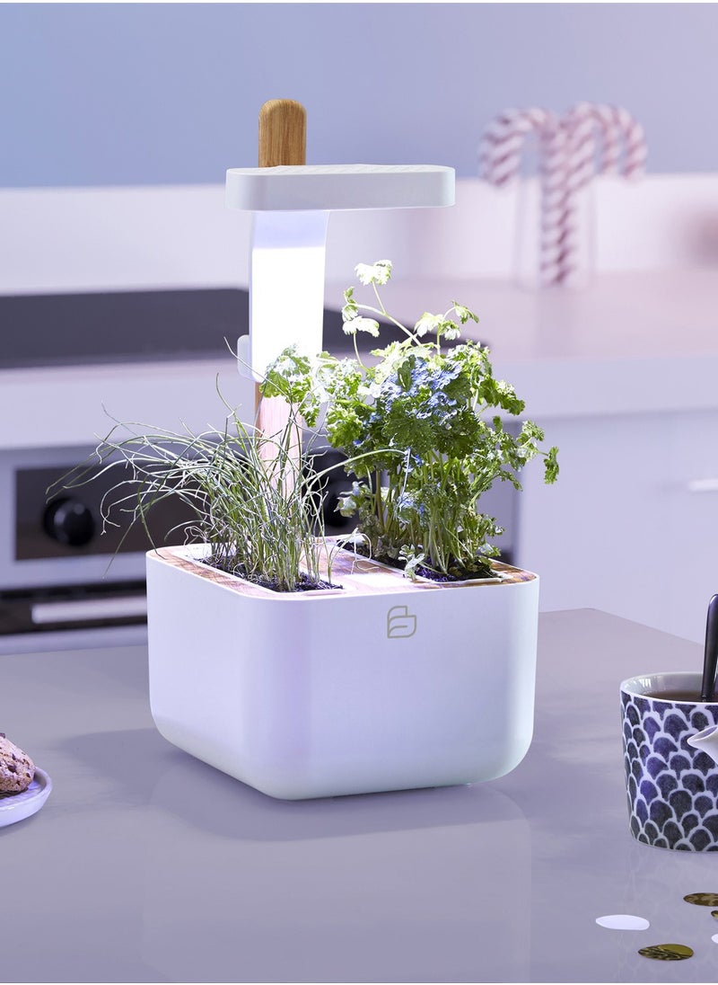 Véritable BOTANEO Eylo Indoor Organic Garden Kit with 2 Lingot Automatic LED Lighting Made in France