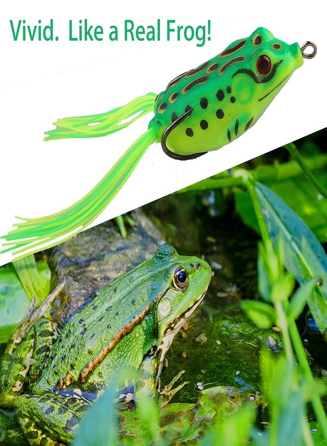 Jeoronuly 5Pcs Topwater Frog Lures Sets with Bait Box, Frog Lure Ray Frog Topwater Fishing Crankbait Lures, Frog Artificial Soft Bait for Bass Snakehead, Weedless Freshwater Soft Simulated Frog Bait - Image 2