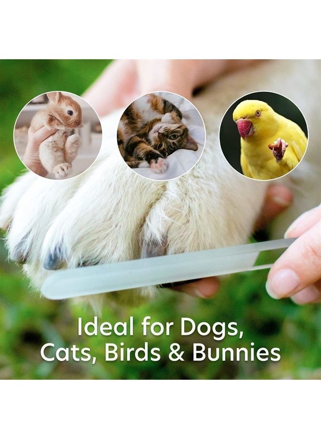 Bona Fide Beauty - Small Dog Nail File Paw Grooming, Trimming & Shaping, Gentle, Painless Pet Nail Filer for Claws & Paws, Ideal for Small Dogs, Cats, Birds - Premium Czech Glass Bona Fide Beauty - Image 1