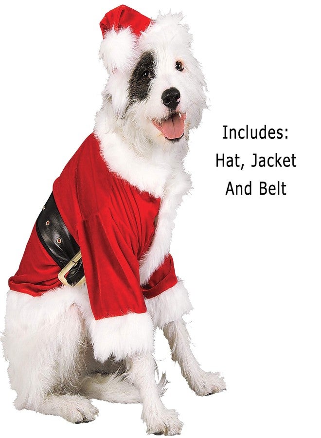 Rubies Santa Claus Pet Costume for Dogs or Cats, Small - Image 2