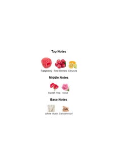 Jimmy Choo Blossom For Women EDP 100ml  - Image 5