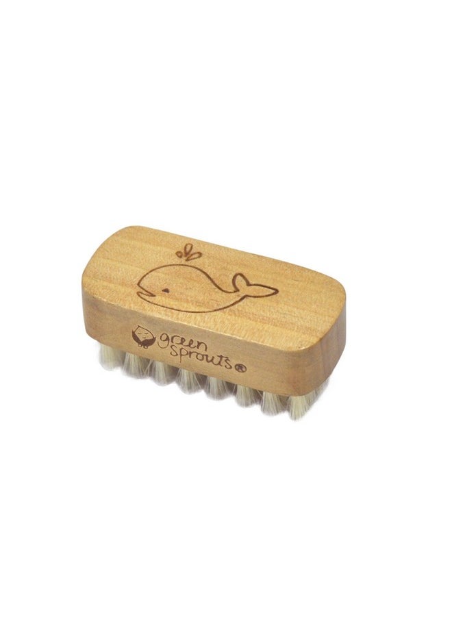 green sprouts Baby Nail Brush Gently Cleans Baby’S Nails Soft Natural Bristles For Comfort Easy To Grasp Wood Handle Made From Natural Nonpetroleum Materials  - Image 1