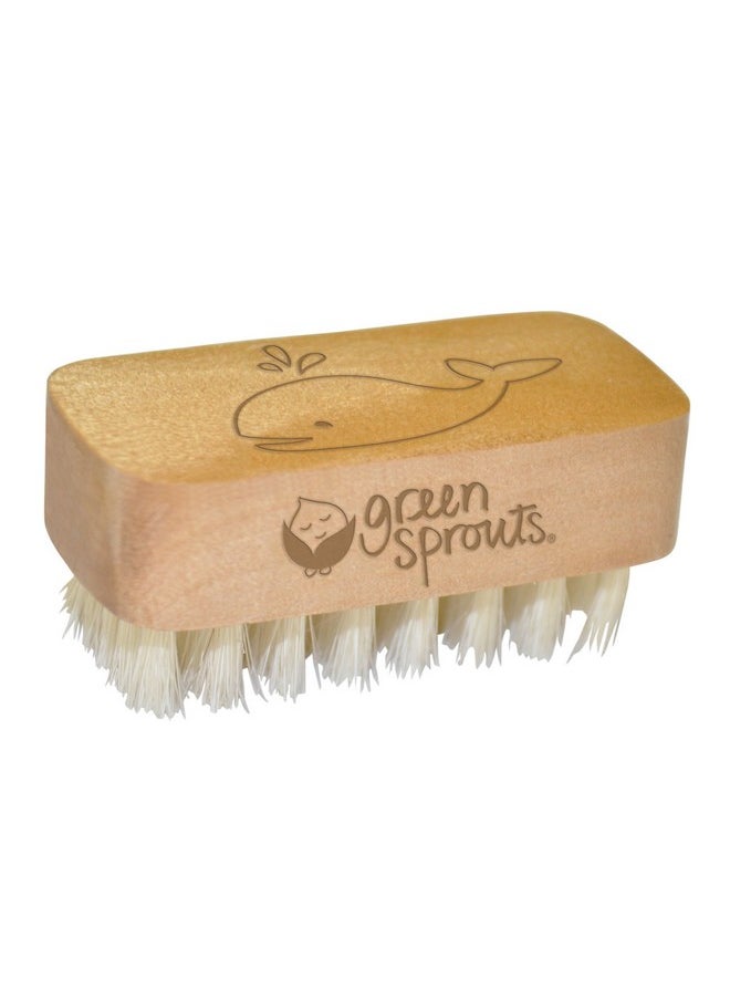 green sprouts Baby Nail Brush Gently Cleans Baby’S Nails Soft Natural Bristles For Comfort Easy To Grasp Wood Handle Made From Natural Nonpetroleum Materials  - Image 5