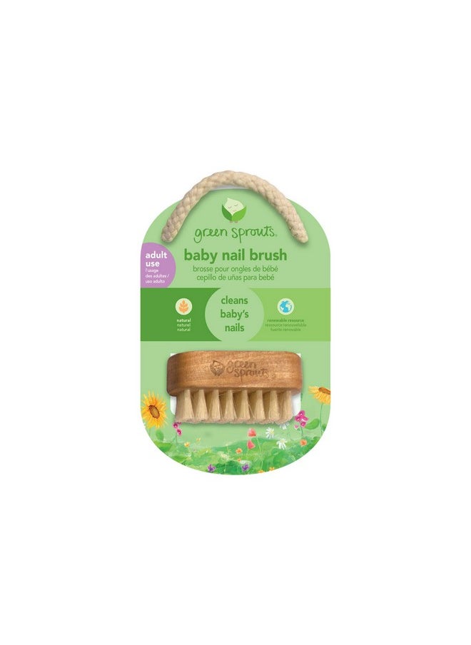 green sprouts Baby Nail Brush Gently Cleans Baby’S Nails Soft Natural Bristles For Comfort Easy To Grasp Wood Handle Made From Natural Nonpetroleum Materials  - Image 3