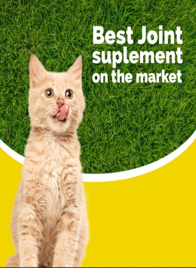 مكمل غذائي Calcicat D3 من شركة Interfarma Corp | عظام صحية للقطط، ومكمل لدعم المفاصل للقطط | مع الكالسيوم وفيتامين D3 وكبريتات المغنيسيوم | بنكهة البرتقال، قطرات للأطفال. - Image 5