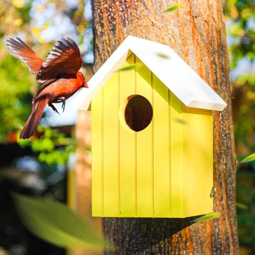 BIRDSHALA Wooden Large Bird House for Sparrow, Bulbul, Budgies, Wild Birds & Pet Birds - Colorful Garden Decorative (Yellow) - Image 5