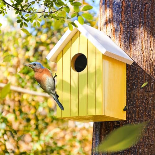 BIRDSHALA Wooden Large Bird House for Sparrow, Bulbul, Budgies, Wild Birds & Pet Birds - Colorful Garden Decorative (Yellow) - Image 3