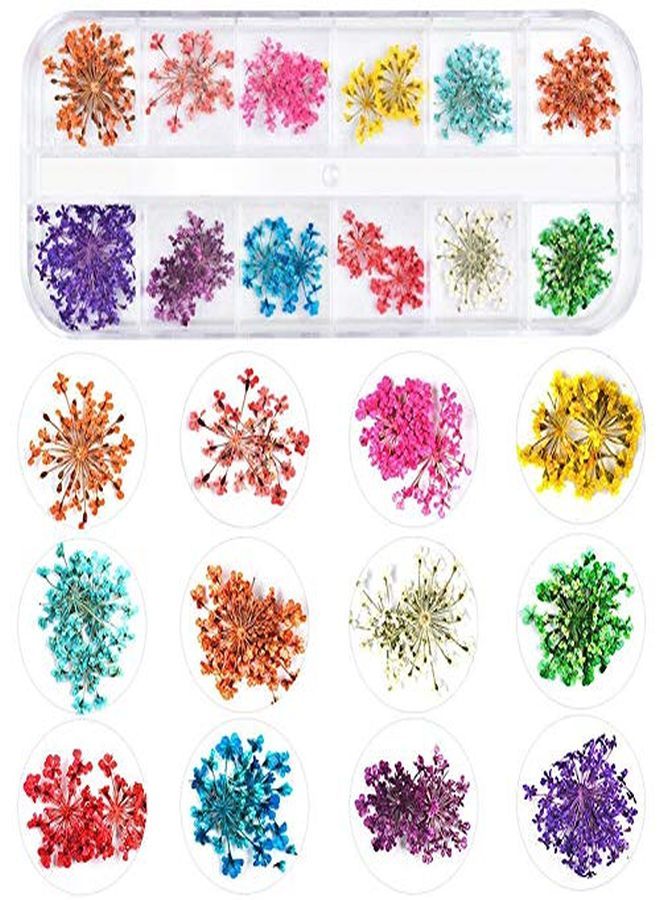 Kissbuty 3 Boxes Dried Flowers For Nail Art, 36 Colors Dry Flowers Mini Real Natural Flowers Nail Art Supplies 3D Applique Nail Decoration Sticker For Tips Manicure Decor (Flowers Gypsophila Daisy)  - Image 4