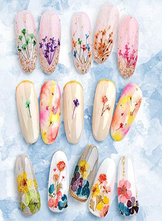 Kissbuty 3 Boxes Dried Flowers For Nail Art, 36 Colors Dry Flowers Mini Real Natural Flowers Nail Art Supplies 3D Applique Nail Decoration Sticker For Tips Manicure Decor (Flowers Gypsophila Daisy)  - Image 2