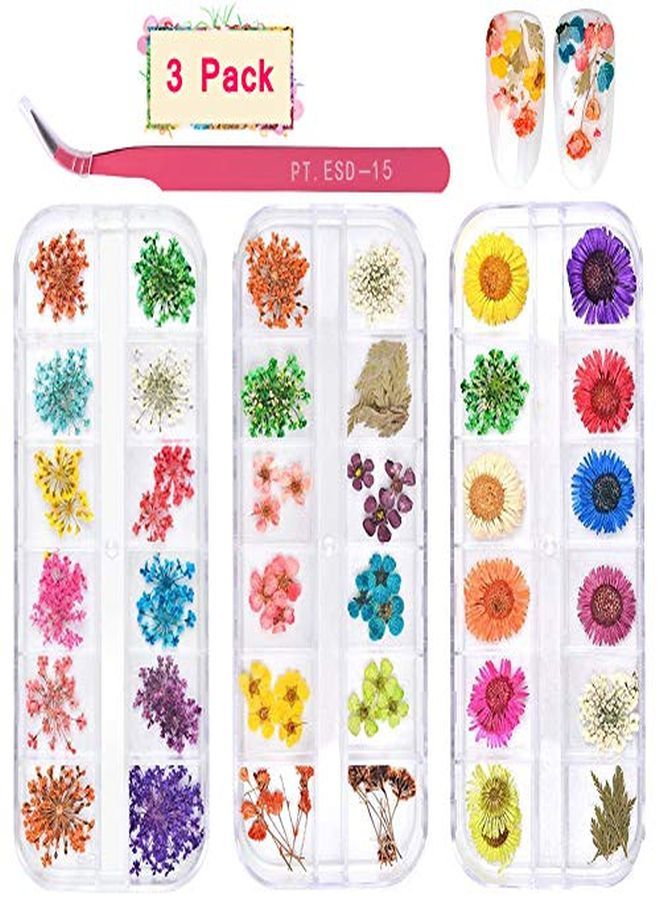 Kissbuty 3 Boxes Dried Flowers For Nail Art, 36 Colors Dry Flowers Mini Real Natural Flowers Nail Art Supplies 3D Applique Nail Decoration Sticker For Tips Manicure Decor (Flowers Gypsophila Daisy)  - Image 1