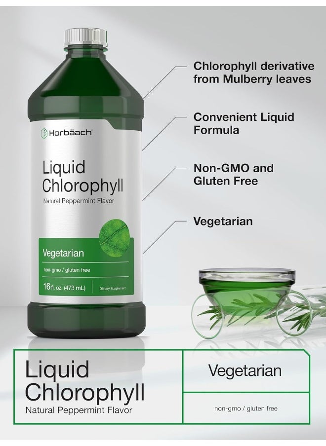 Horbaach Horbaach Liquid Chlorophyll 950ml (2 x 470ml Bottles) Vegetarian, Non GMO, Gluten Free Unflavored 100 mg Chlorophyll Internal Deodorant  - Image 4