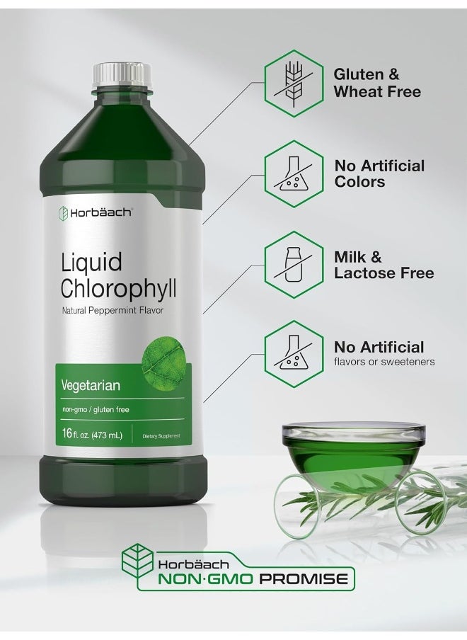 Horbaach Horbaach Liquid Chlorophyll 950ml (2 x 470ml Bottles) Vegetarian, Non GMO, Gluten Free Unflavored 100 mg Chlorophyll Internal Deodorant  - Image 5