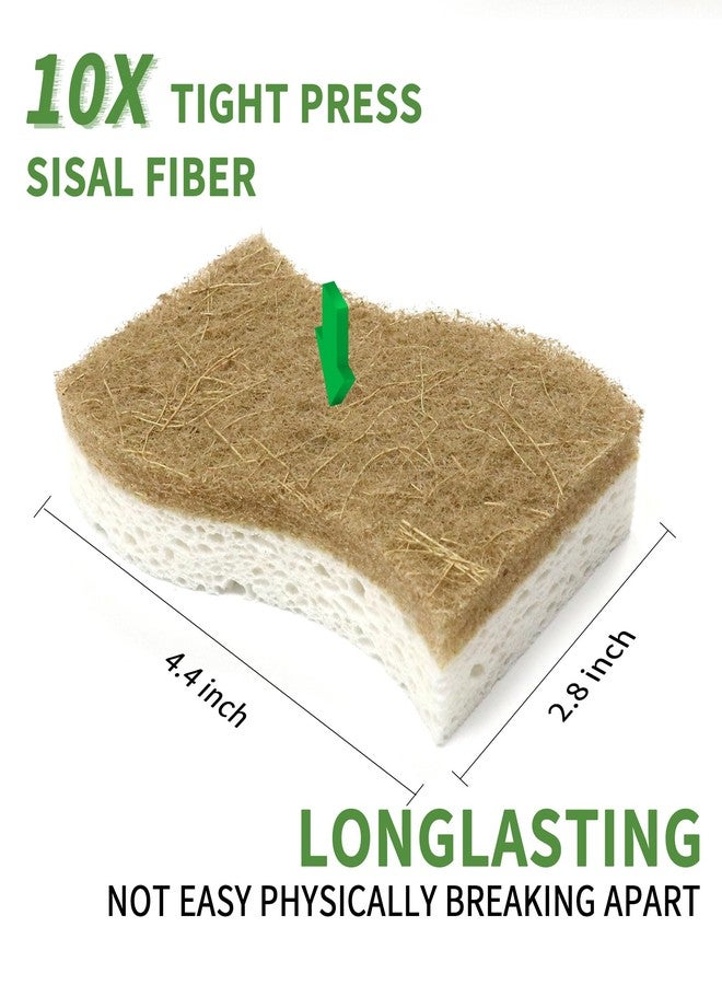 KICKLEEN 9 Pack Biodegradable Natural Kitchen Sponge - Compostable Cellulose and Coconut Walnut Scrubber Sponge - Eco Friendly Sustainable Sponges for Dishes - Image 4