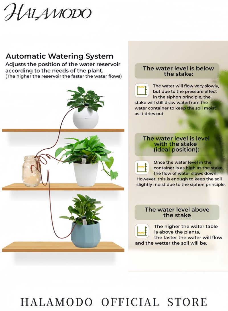 HALAMODO 12-Piece Automatic Flower Watering Drip Device - Image 2