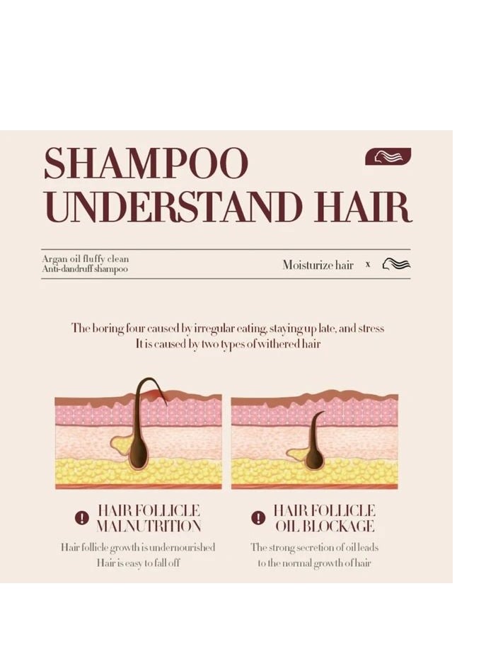 SADOER - Argan Hair Care Set Consisting of Shampoo and Conditioner 500 ml Mask 250 ml and Serum 80 ml Sulfate Free. - Image 1