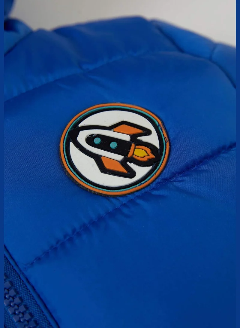 DeFacto Regular Fit Mont Jacket