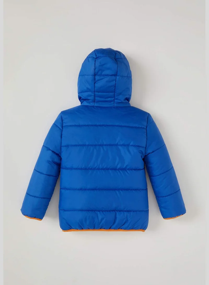 DeFacto Regular Fit Mont Jacket