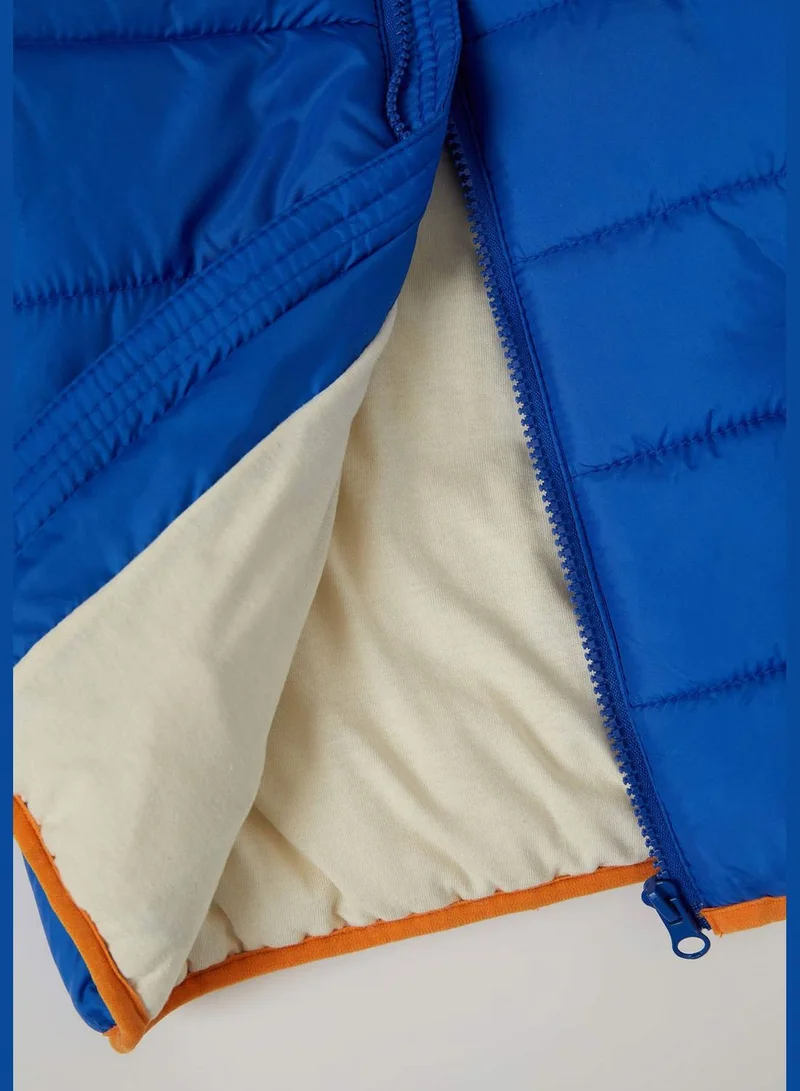 DeFacto Regular Fit Mont Jacket