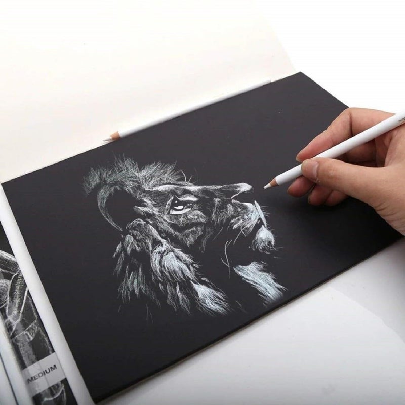 ChiggiWiggi ChiggiWiggi Charcoal Pencils Drawing Set- 12 Pieces Soft Medium and Hard for Drawing, Sketching, Shading With 3 Pcs White Medium Charcoal Pencil For Drawing and 3 Pcs White Highlight Gel Pen Art Set  - Image 5