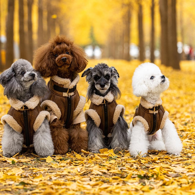 LUVMOJO Retro Aviator Dog Jacket, Faux Leather Sherpa Lined Winter Coat for Small, Medium & Large Dogs, Warm Windproof Pilot Style Clothes for Male & Female Puppy, Cold Weather Outfit for Poodle, M - Image 2