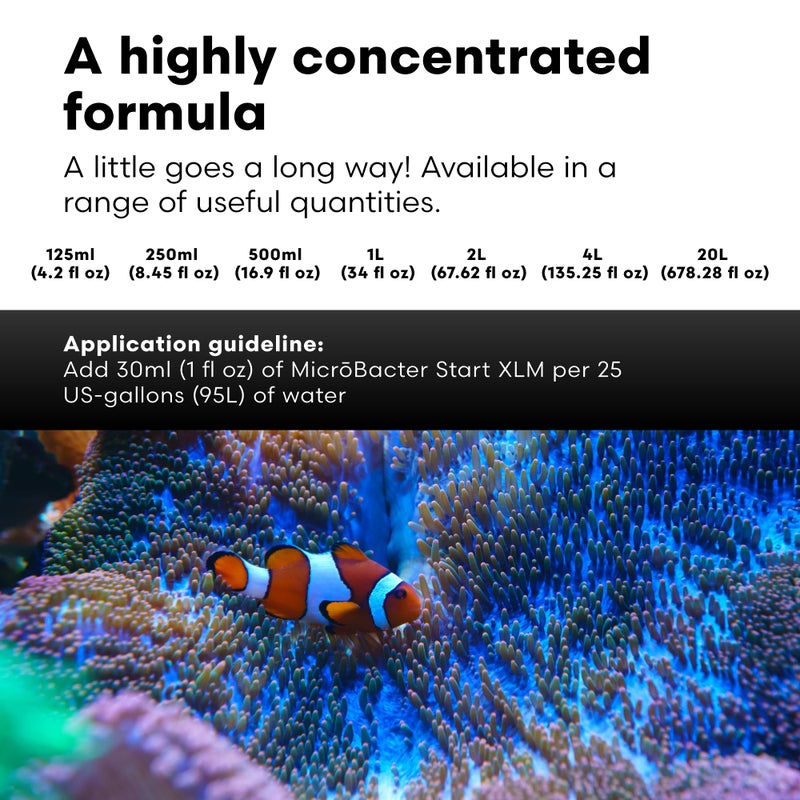Brightwell Aquatics MicroBacter Start XLM - Concentrated Freshwater Nitrifying Bacteria - Quick Start Fish Tank Starter, Lift Microbe Levels & Water Filtering - Aquarium Water Treatments, 4.22 fl oz - Image 5