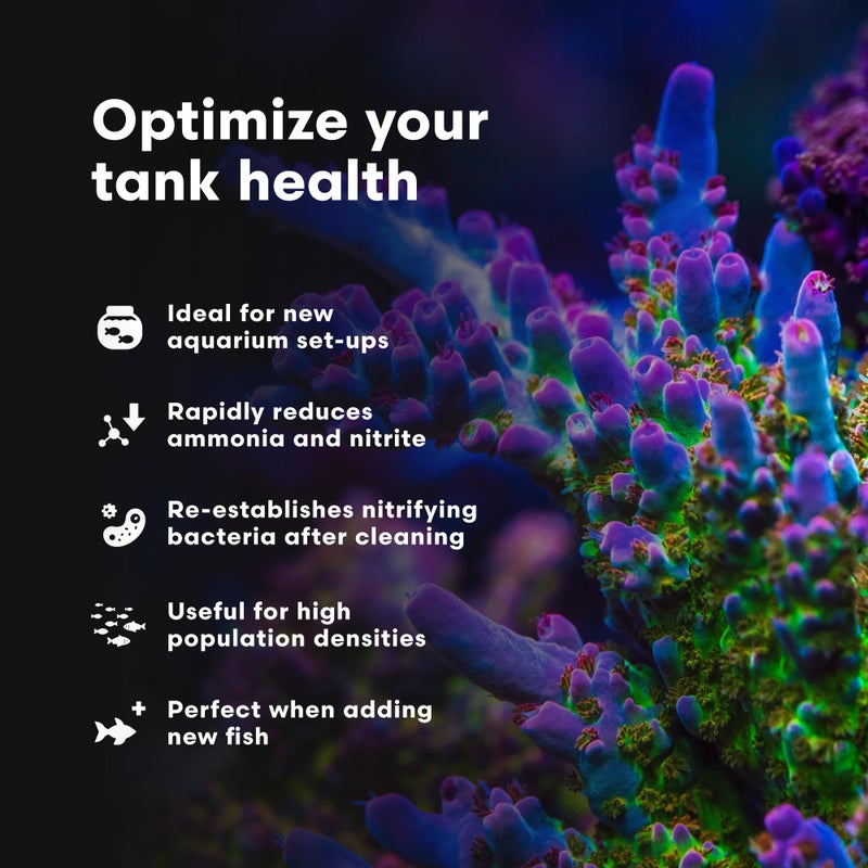 Brightwell Aquatics MicroBacter Start XLM - Concentrated Freshwater Nitrifying Bacteria - Quick Start Fish Tank Starter, Lift Microbe Levels & Water Filtering - Aquarium Water Treatments, 4.22 fl oz - Image 4