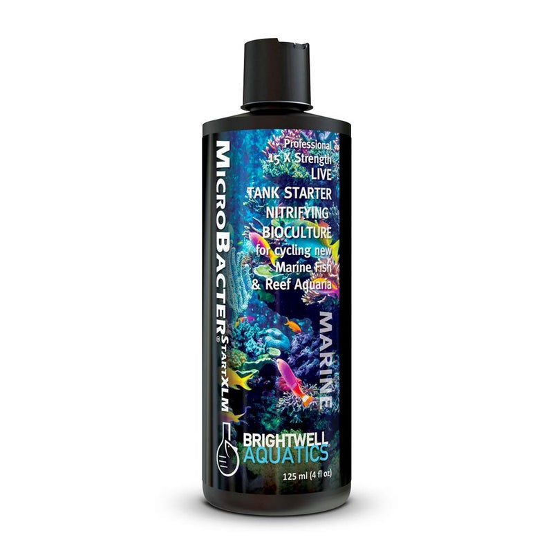 Brightwell Aquatics MicroBacter Start XLM - Concentrated Freshwater Nitrifying Bacteria - Quick Start Fish Tank Starter, Lift Microbe Levels & Water Filtering - Aquarium Water Treatments, 4.22 fl oz - Image 1