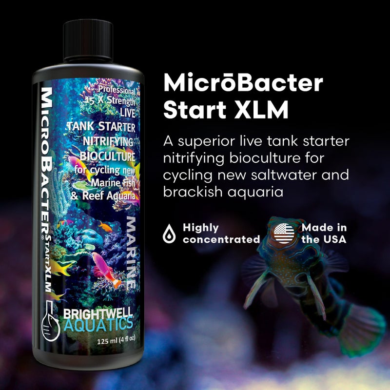 Brightwell Aquatics MicroBacter Start XLM - Concentrated Freshwater Nitrifying Bacteria - Quick Start Fish Tank Starter, Lift Microbe Levels & Water Filtering - Aquarium Water Treatments, 4.22 fl oz - Image 2