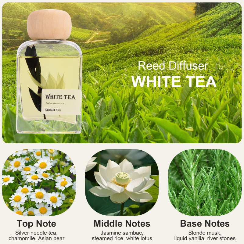 Vietora Eud White Tea Essential Oil Reed Diffusers,Luxury Hotel Collection Diffuser Oil Inspired by Westin for Home&Office, Bedroom Living Room Shelf Decor,Bathroom Accessories,Non-Toxic & Gift Ready,3.34 FL OZ - Image 4