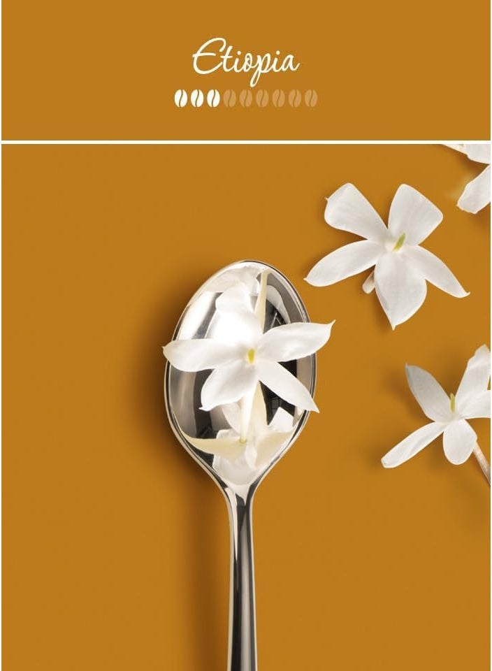 إيلي حبوب قهوة إيلي (illy) أرابيكا سيليكشن إثيوبيا - علبة 250 جم - Image 3