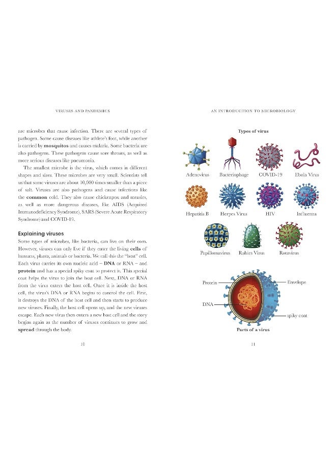 Penguin Readers Level 4: Viruses (ELT Graded Reader)  - Image 2