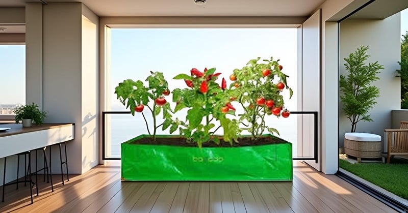 MASHKI Home Gardening Garden Green, HDPE Rectangular, 16"x10"x8" Inches Growbag (Pack of 4) - Image 5