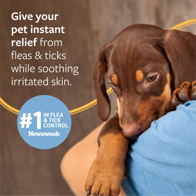 Veterinary Formula Flea and Tick Shampoo for Dogs and Cats, 1 Gallon â€“ Dog and Cat Flea Shampoo with Pyrethrum to Kill Fleas, Ticks On Contact â€“ Cleanses and Exfoliates - Image 4
