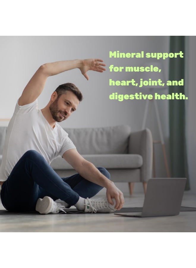 DEAL SUPPLEMENT مغنيسيوم جليسينات 500 ملغ، 240 كبسولة نباتية | مخلب لسهولة الامتصاص | معدن أساسي نقي للغاية لصحة العضلات والمفاصل والقلب والهضم - Image 4